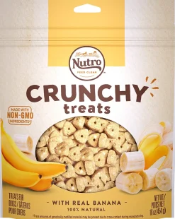 Nutro Banana Crunchy Biscuit Dog Treats - 16 oz - Case of 12