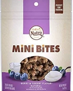 Nutro Mini Bites Berry Crunchy Dog Treats - 8 oz - Case of 6