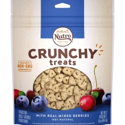 Nutro Mixed Berry Crunchy Biscuit Dog Treats - 16 oz - Case of 12