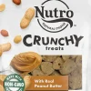 Nutro Peanut Butter Crunchy Biscuit Dog Treats - 16 oz - Case of 12