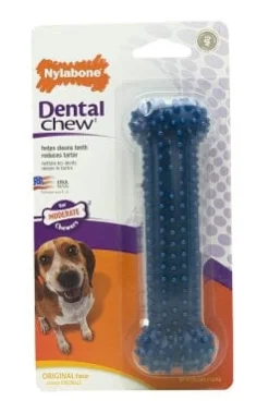 Nylabone Moderate Chew Dental Dog Bone - Reg