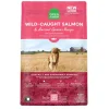 Open Farm Wild-Caught Salmon and Ancient Grains Dry Dog Food - 11 Lbs