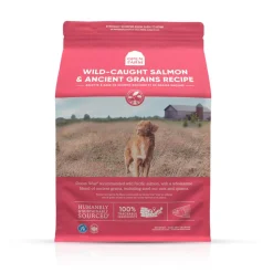 Open Farm Wild-Caught Salmon and Ancient Grains Dry Dog Food - 22 Lbs