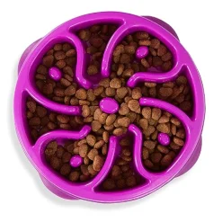 Outward Hound Anti-Skid Fun Feeder Slow Feeding Dog Bowl - Purple Flower - Large