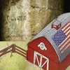Oxbow Harvest Stacks Small Animal Hay - Western Timothy with Chamomile