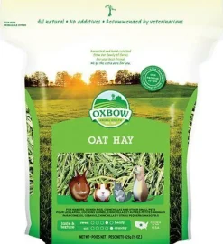 Oxbow Oat Hay Small Animal Hay - 15 oz Bag