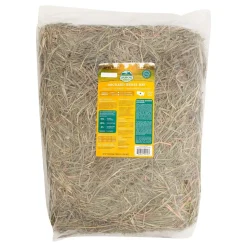 Oxbow Orchard Grass Small Animal Hay - 25 lb Bag