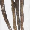 Papa Bow Wow Dog Bully Sticks - 12 Inch - 0.5 lb
