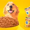 Pedigree Pate Chicken, Beef, Bacon and Cheese Multi-Pack Canned Dog Food - 13.2 oz - Case of 18