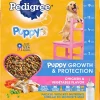Pedigree Puppy Growth and Protection Chicken and Vegetables Dry Dog Food - 30 lb Bag