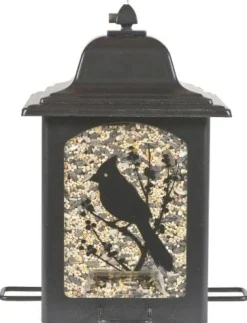 Perky-Pet Birds & Berries Lantern Wild Bird Feeder - Black - 3 Lbs Cap