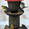 Perky-Pet Multi-Seed Wild Bird Feeder - Red - 4 Lbs Cap