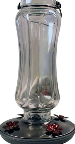 Perky-Pet Starglow Glass Vintage Hummingbird Feeder - Clear - 24 Oz Cap - 2 Pack