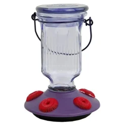 Perky-Pet Top-Fill Glass Hummingbird Feeder - Lavender - 16 Oz Cap - 2 Pack