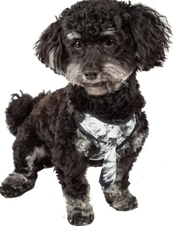 Pet Life ® 'Bonatied' Mesh Reversed Adjustable Fashion Dog Harness W/ Designer Neck Tie