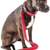 Pet Life ® 'Aero Mesh' 2-In-1 Breathable and Adjustable Dual-Sided Mesh Dog Leash and Collar