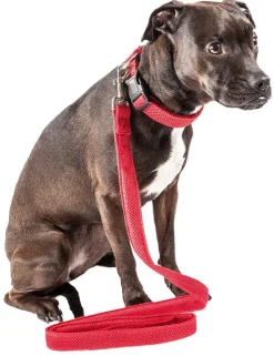Pet Life ® 'Aero Mesh' 2-In-1 Breathable and Adjustable Dual-Sided Mesh Dog Leash and Collar