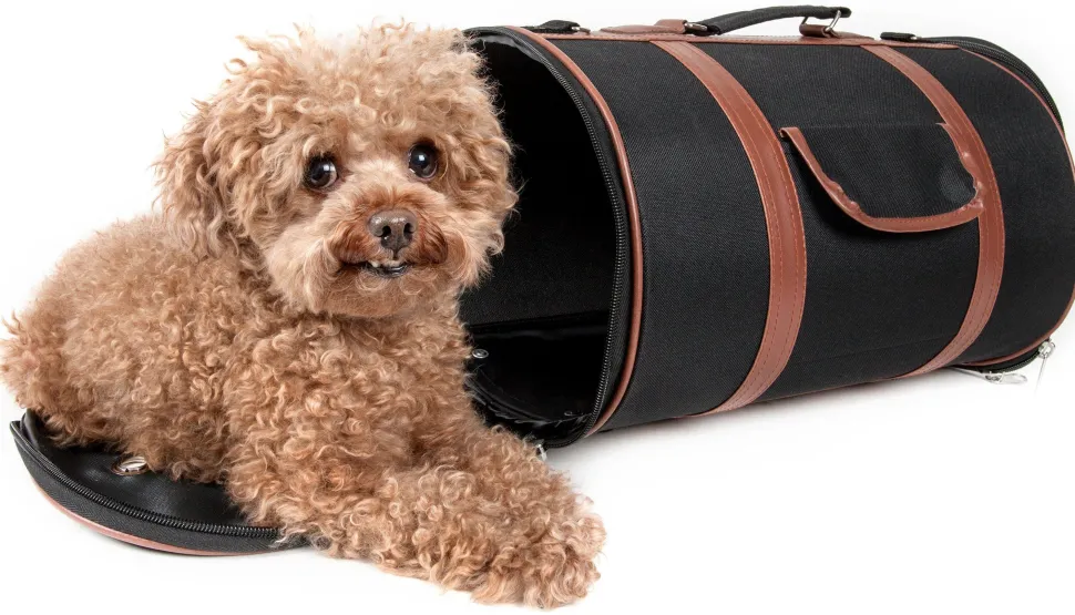 Pet Life ® 'Bark Avenue' Cylindrical Airline Approved Fashion Designer Posh Pet Dog Carrier