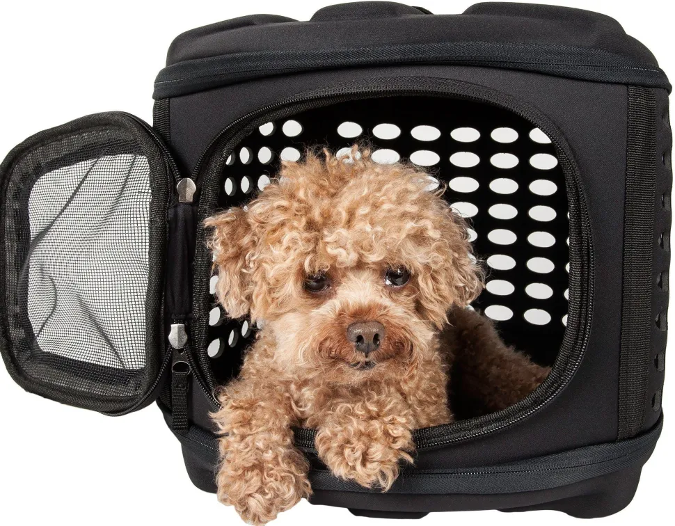 Pet Life ® 'Circular Shelled' Perforated Lightweight Collapsible Military Grade Travel Pet Dog Carrier