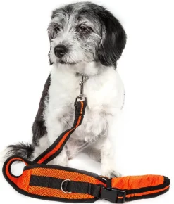 Pet Life ® 'Echelon' Hands Free and Convertible 2-In-1 Training Pet Dog Leash and Pet Belt Trainer