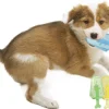 Pet Life ® 'Lick & Gnaw' Cooling Ices Cone Freezable and Chewable Tossing Waterproof Floating Pet Dog Toy