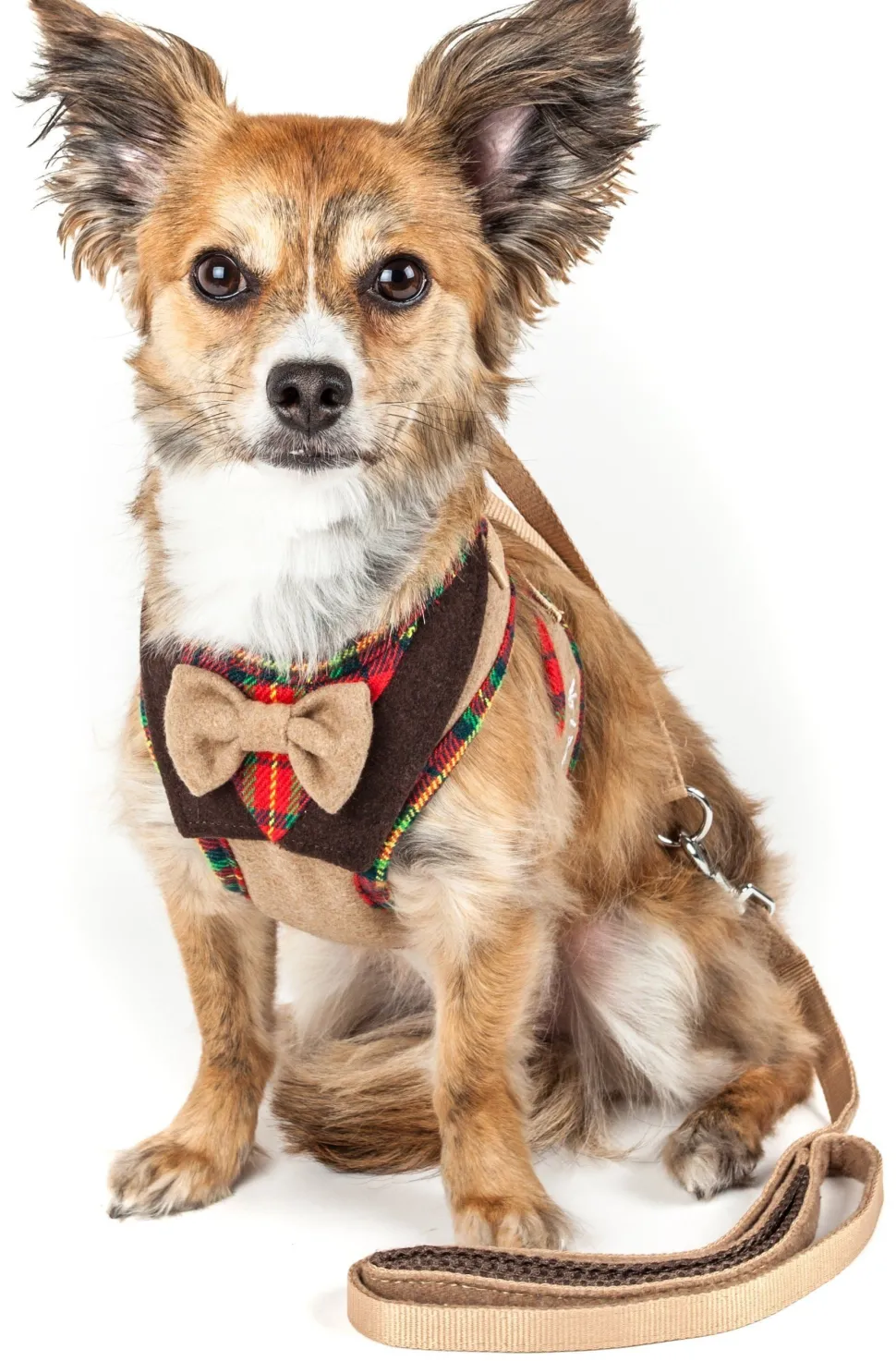Pet Life ® Luxe 'Dapperbone' 2-In-1 Adjustable Fashion Dog Harness and Leash