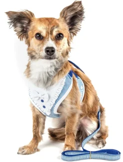 Pet Life ® Luxe 'Spawling' 2-In-1 Adjustable Fashion Dog Harness and Leash