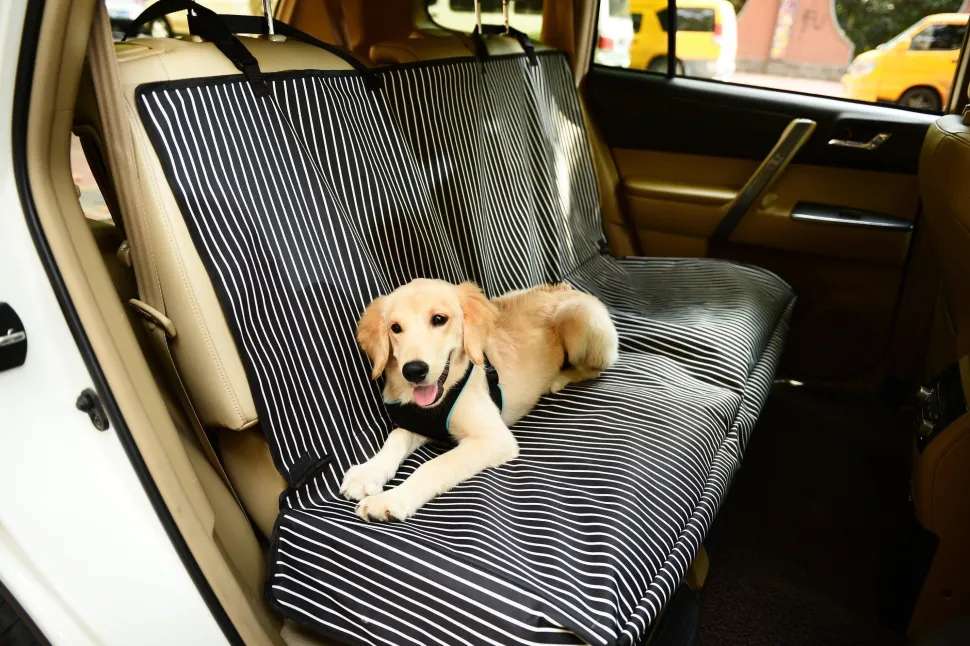 Pet Life ® 'Open Road' Full Back Seat Safety Child Pet Cat Dog Car Seat Carseat Cover Protector