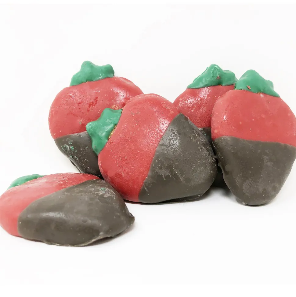 Pet Life 5 Piece Strawberry Carob Whole Wheat Oat and Yogurt Dog Biscuits
