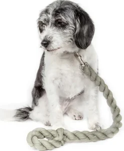 Pet Life ® 'Tough-Tugger' Industrial-Strength Shock Absorption Woven Pet Dog Leash