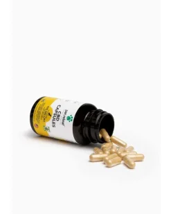 Pet Releaf CBD Hemp Oil Capsules 150mg Travel Tin Dog and Cat Health Supplements - 10 Pack