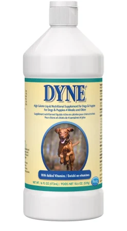 PetAg Dyne Pro Healthy Gut Vanilla Flavor Dog Food Supplement and Meal Topper - 16 Oz
