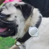 PETKIT ® 'FIT' Lightweight Water-resistant Smart Activity and Mood Monitoring Pet Dog Cat Activity Tracker Monitor