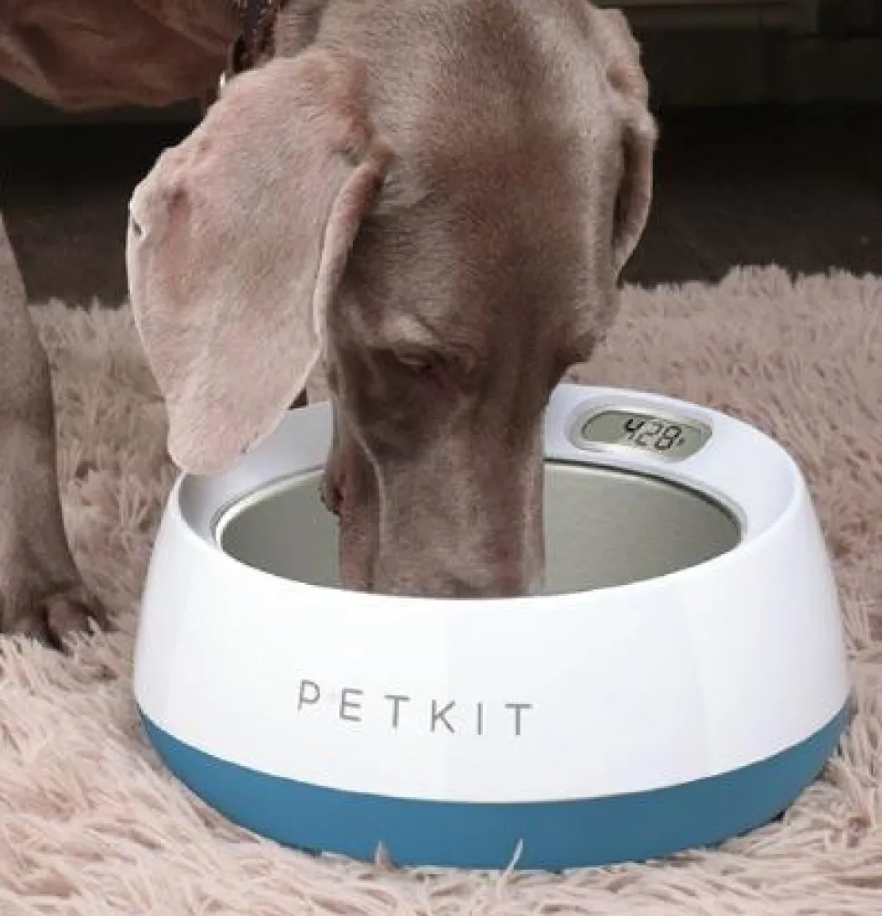 PETKIT ® 'FRESH METAL' Large Anti-Bacterial Machine Washable Smart Food Weight Calculating Digital Scale Pet Cat Dog Bowl Feeder w/ Inlcuded Batteries and Ejectable Stainless Bowl