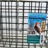Pine Tree Farms Hanging Feeder for Large Seed & Suet Cake Suet and Seed Cake Wild Bird Feeder - Green