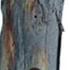 Pine Tree Farms Log Jammer Hardwood Feeder Suet and Seed Cake Wild Bird Feeder - 1.75 Lbs