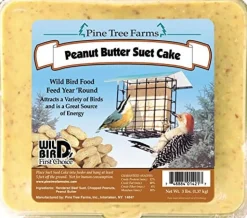 Pine Tree Farms Suet Cakes Wild Bird Food - Peanut Butter - 3 Lbs