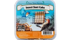 Pine Tree Farms Suet Cakes Wild Bird Food - Insect - 12 Oz