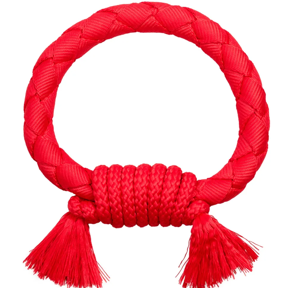 Playology Beef Scented Dri-Tech Ring Dog Toy with Encapsiscent Technology - Red - Large