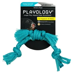 Playology Beef Scented Sensory Rope Puppy Dog Toy with Encapsiscent Technology - Small