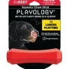Playology Beef Scented Squeaky Chew Stick Floating Rubber Dog Toy with Encapsicent Tech - Medium