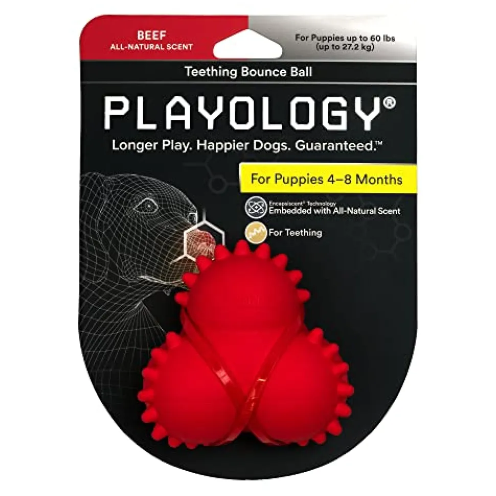 Playology Beef Scented Squeaky Chew Ball Floating Rubber Dog Toy with Encapsiscent Tech - Medium/Large
