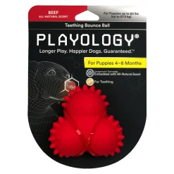 Playology Beef Scented Teething Bounce Ball Rubber Puppy Dog Toy with Encapsiscent Tech - Large
