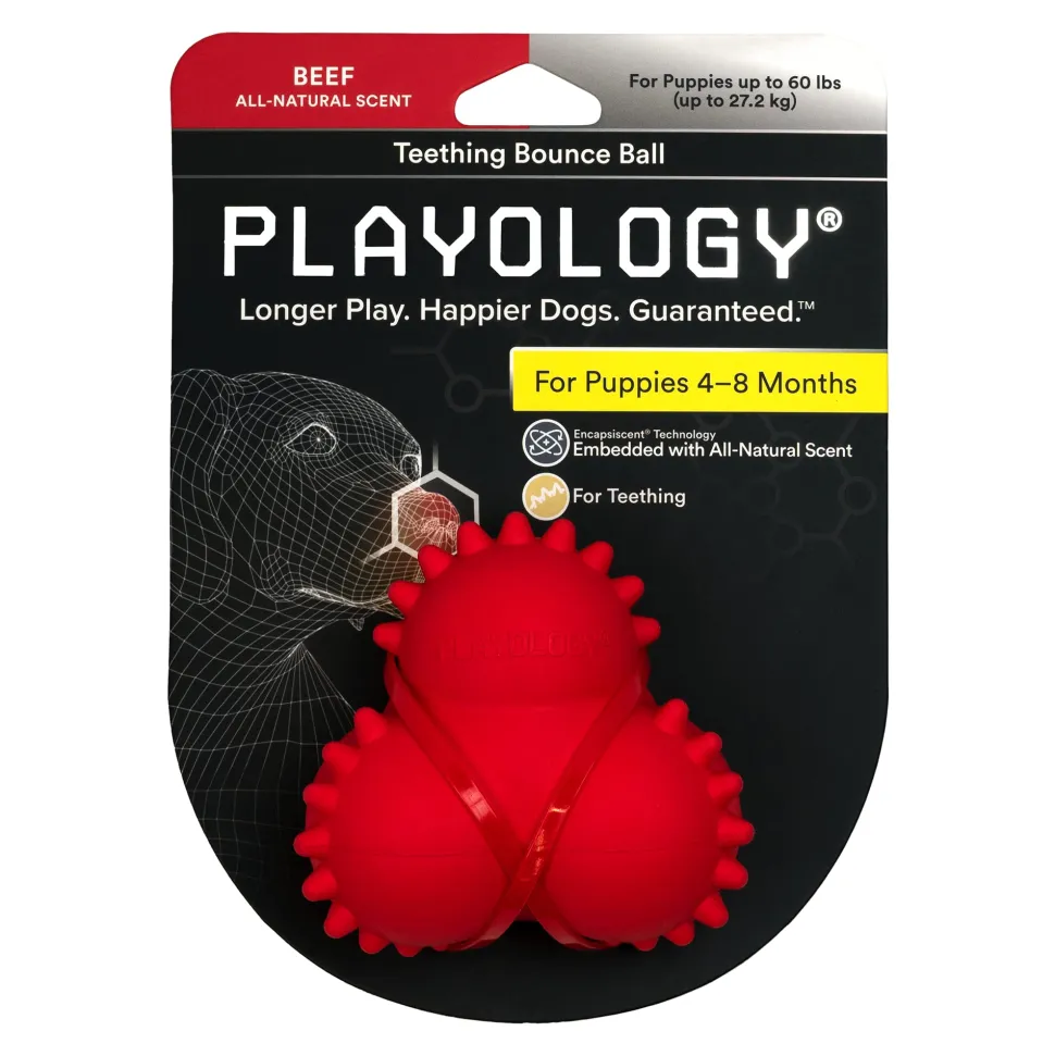 Playology Beef Scented Teething Bounce Ball Rubber Puppy Dog Toy with Encapsiscent Tech - Large