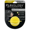 Playology Chicken Scented Squeaky Chew Ball Floating Rubber Dog Toy with Encapsiscent Tech - Medium/Large