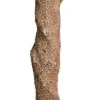 Prevue Hendryx Beach Branch - Large