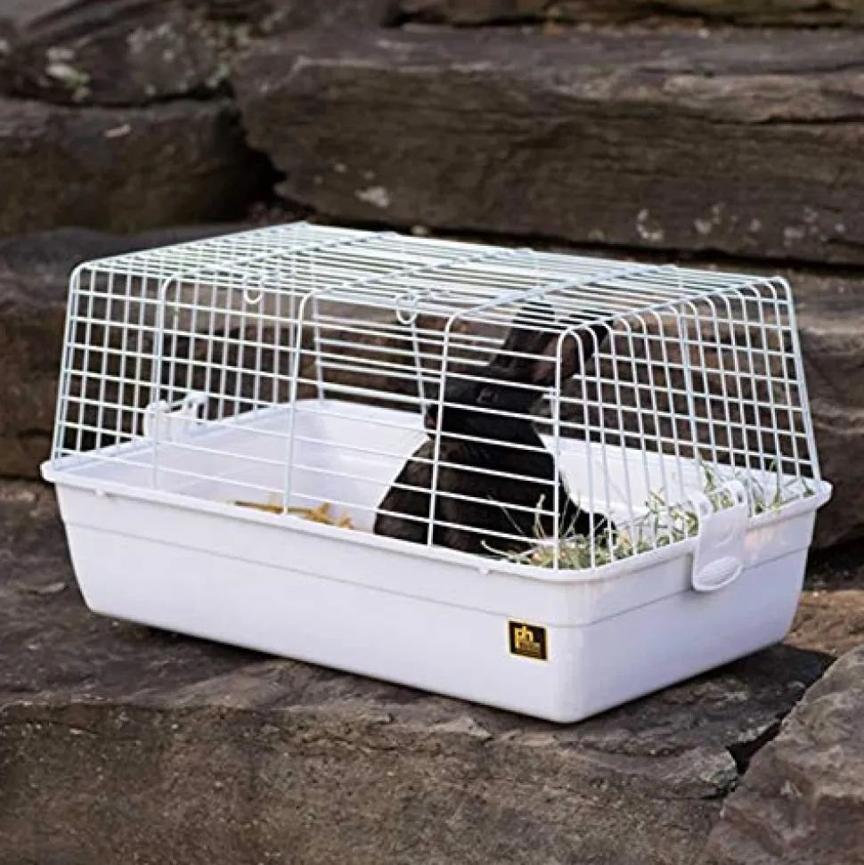 Prevue Hendryx Carina Animal Cage - Small - Multipack - 23.5" x 14" x 12.25" - Pack of 4
