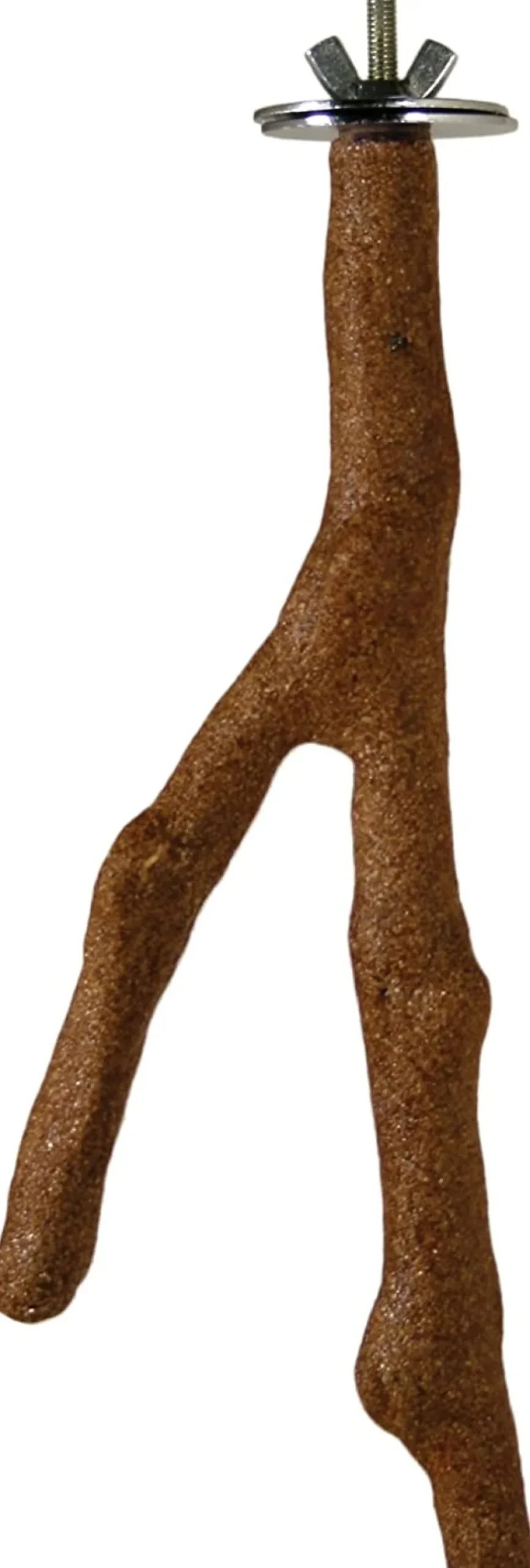Prevue Hendryx Cosmic Crunch Bird Perch - Small - 6"
