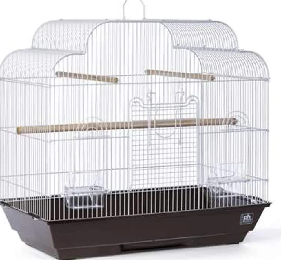 Prevue Hendryx Keet/Tiel Cascade Roof Cage