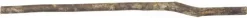 Prevue Hendryx Natural Wood Perch - 34.5" x 0.825"